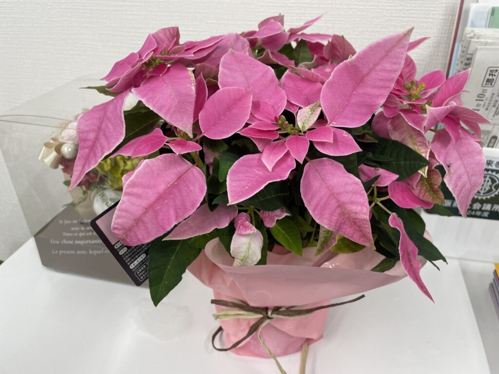 現在の画像に代替テキストがありません。ファイル名: 20251221102029-scaled.jpeg